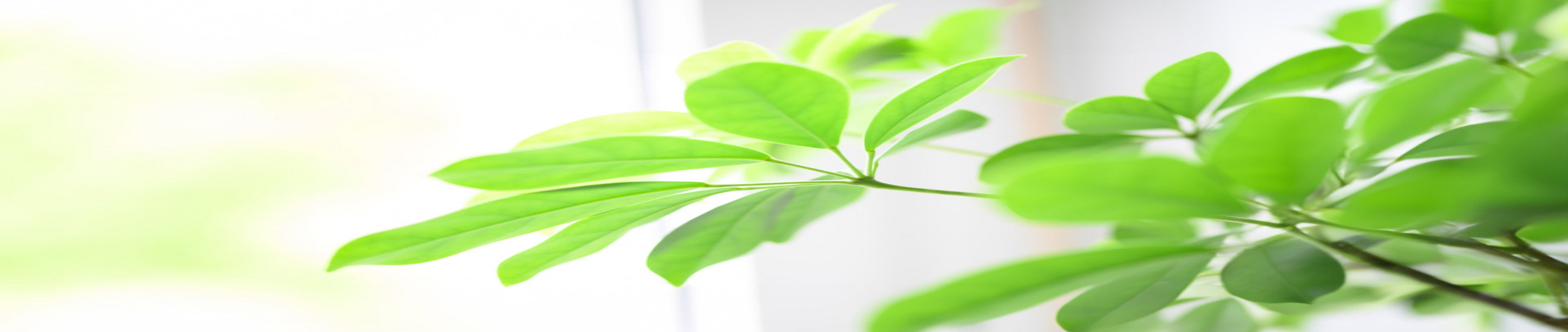 Rechtsanwälte Bottrop